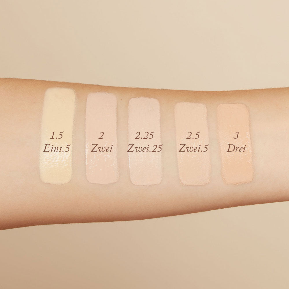 Blunder Cover an All-In-One Foundation/Concealer Shade - ZWEI.25 - 5
